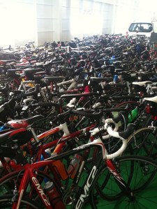 Bikes on the ferry